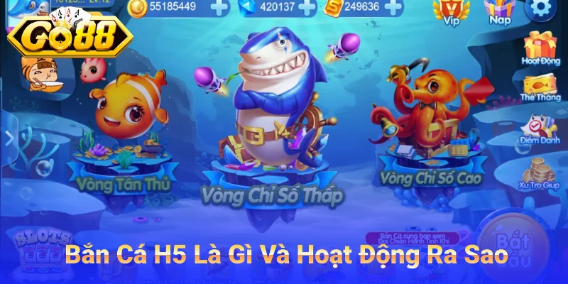 Bắn Cá H5 Là Gì Và Hoạt Động Ra Sao