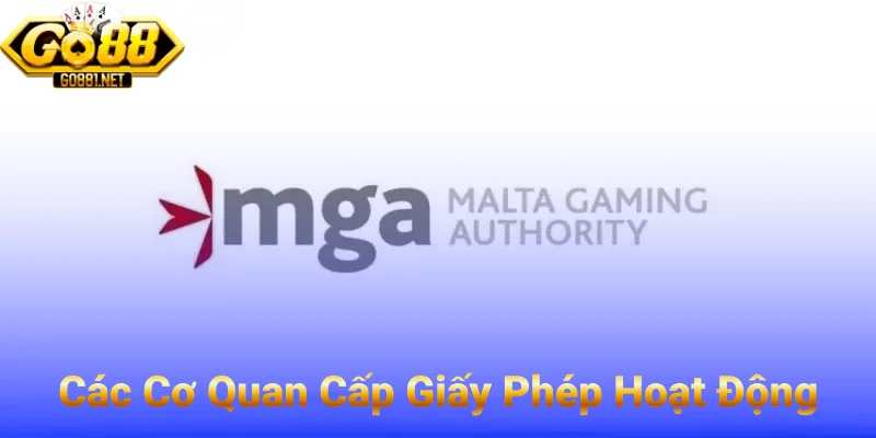 Cơ Quan Cấp Giấy Phép Hoạt Động